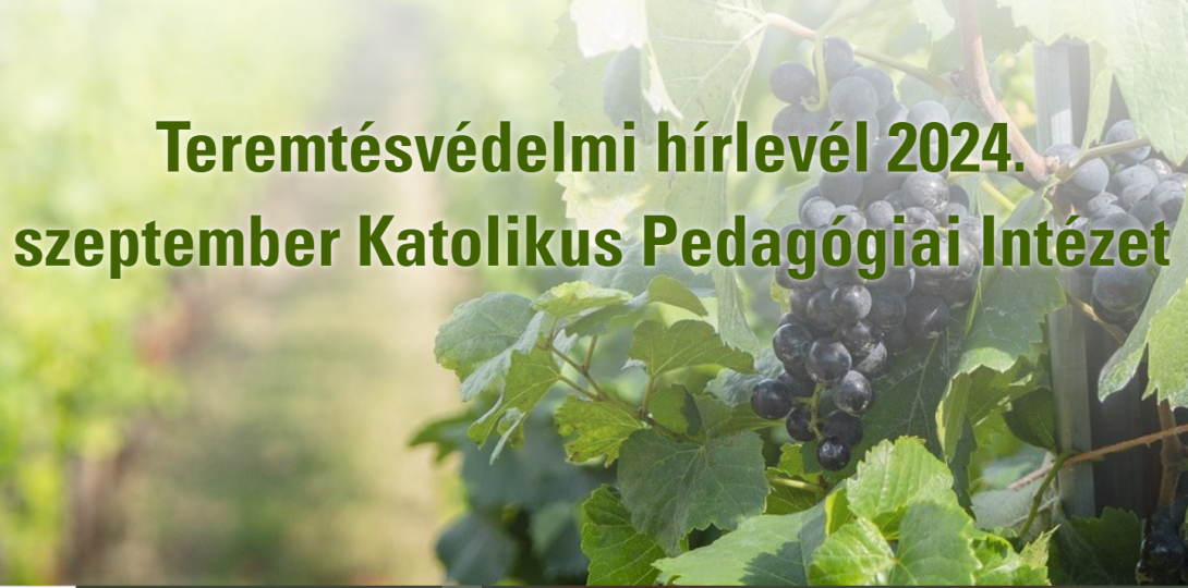 címlap